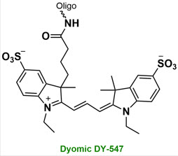 Bio-Synthesis Inc. Oligo Structure